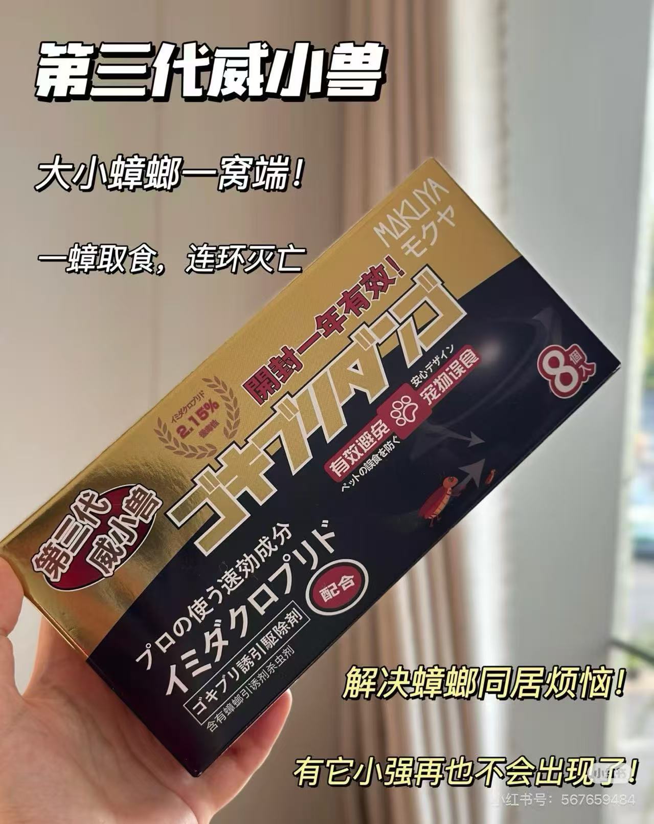 蟑螂小黑屋